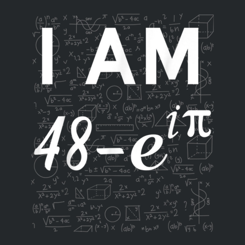 49th Birthday 49 Years Old Math Geek Euler Identity Crewneck Sweatshirt | Artistshot