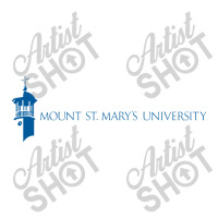 Mount St Mary's University Youth Hoodie | Artistshot