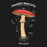 Amanita Muscaria Mushroom Definition Latin Art Tank Top Hoodie & Jogger Set | Artistshot