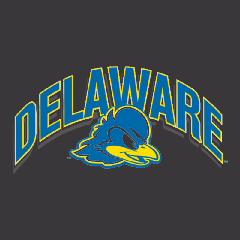 Delaware Fightin' Blue Ladies Curvy T-shirt | Artistshot