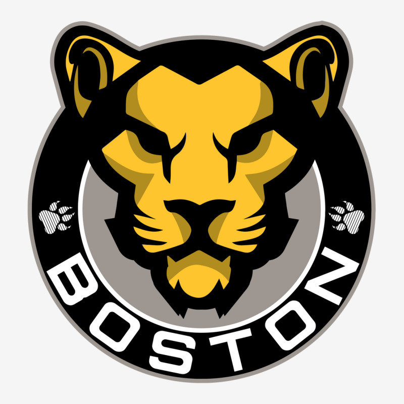 The Boston Pride Classic T-shirt by aqsat | Artistshot