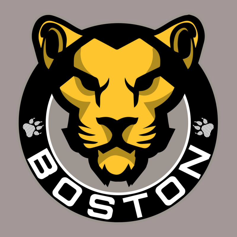 The Boston Pride Vintage Short by aqsat | Artistshot