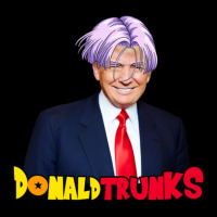 Donald Trunks Gift.png Cropped Hoodie | Artistshot