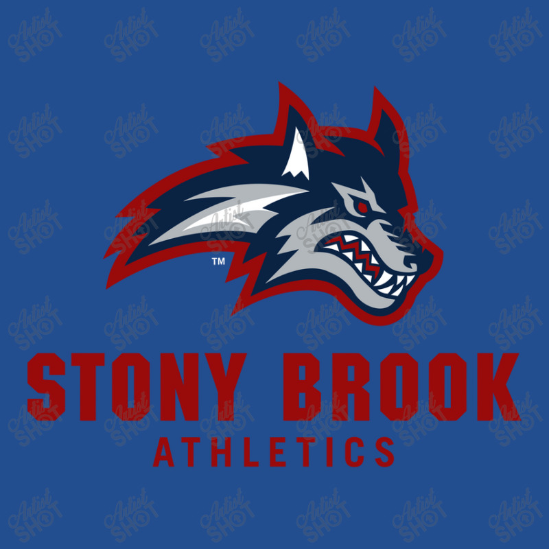 The Seawolves, Stony Brook Univ Unisex Hoodie by Cielkenedy | Artistshot