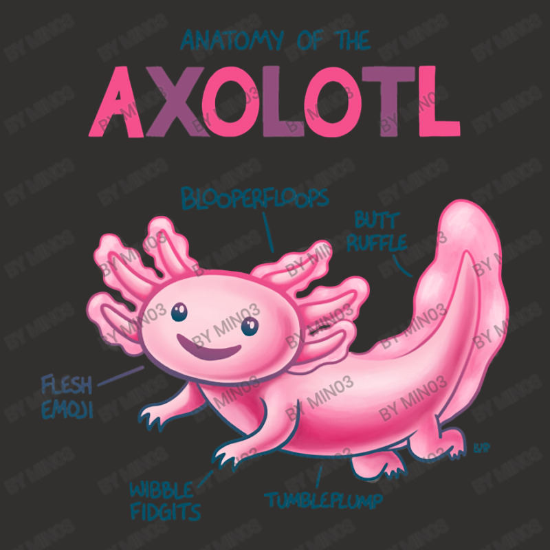 Anatomy Of The Axolotl Champion Hoodie | Artistshot