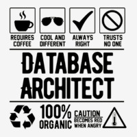 Database Architect Adjustable Cap | Artistshot