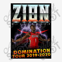 Zion Domination Tour Shirt   Zion Williamson Classic T-shirt | Artistshot