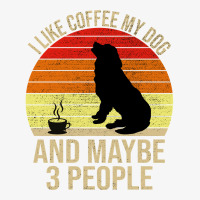 I Like Coffee My Dog And Maybe 3 People Classic Ladies Fitted T-shirt | Artistshot