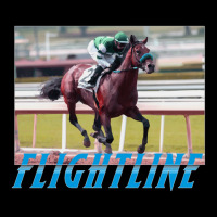 Flightline Classic Horseracing Lightweight Hoodie | Artistshot