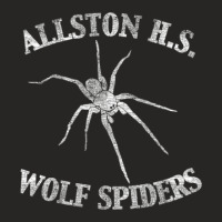 Alston High School Wolf Spiders Ladies Fitted T-shirt | Artistshot