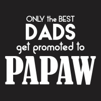 Only The Best Dads Get Promoted To Papaw T-shirt | Artistshot