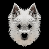 Really Beautiful Dog Giftswest Highland Terriers, Small Dogs, Lap Dogs Adjustable Cap | Artistshot