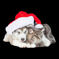 Cute Siberian Husky Puppy Santa Hat Image Christmas Cat Dog Premium T Adjustable Cap | Artistshot