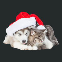 Cute Siberian Husky Puppy Santa Hat Image Christmas Cat Dog Premium T Women's Triblend Scoop T-shirt | Artistshot