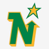 Minnesota North Stars Graphic Youth T-shirt | Artistshot