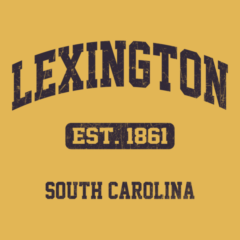 Lexington South Carolina Sc Vintage State Athletic Style Sweatshirt Vintage Hoodie And Short Set by cm-arts | Artistshot