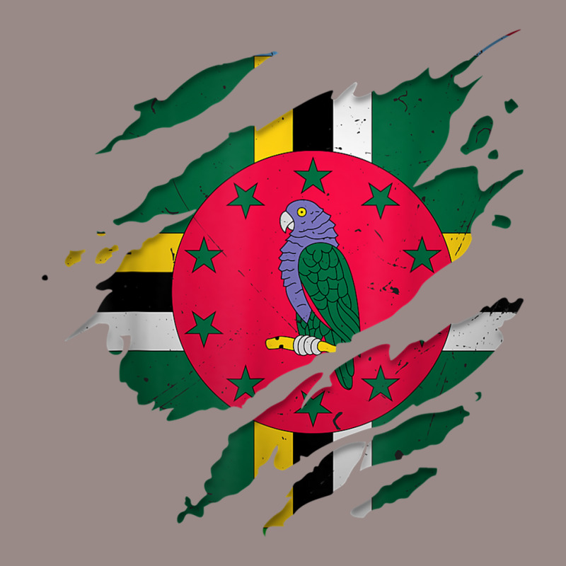 Proud Dominican Shirts  Torn Ripped Dominica Flag T Shirt Vintage T-Shirt by cm-arts | Artistshot