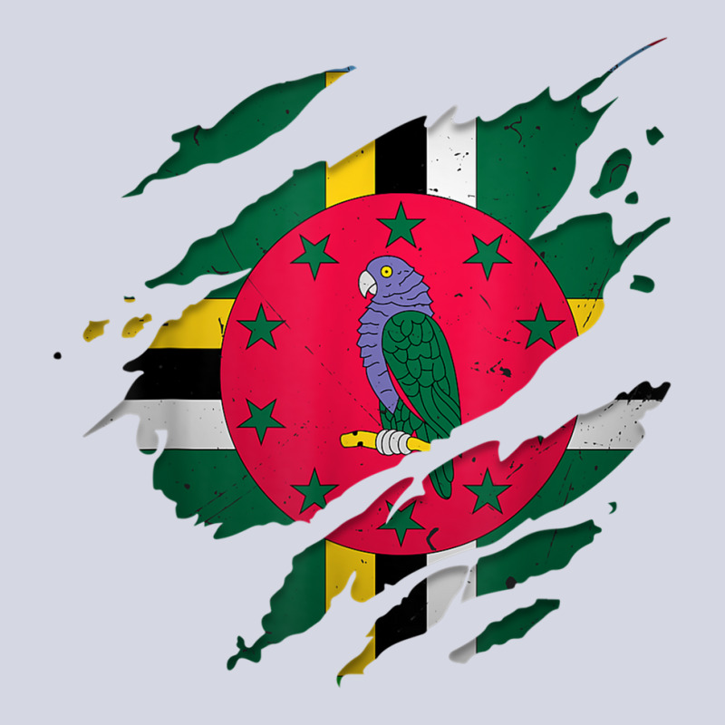 Proud Dominican Shirts  Torn Ripped Dominica Flag T Shirt Fleece Short by cm-arts | Artistshot