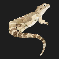 Bearded Dragon Classic T-shirt | Artistshot