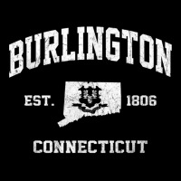 Burlington Connecticut Ct Vintage State Athletic Style T Shirt Youth Hoodie | Artistshot