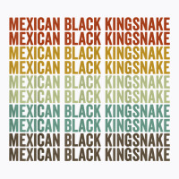 Mexican Black Kingsnake Retro T Shirt T-shirt | Artistshot