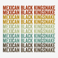 Mexican Black Kingsnake Retro T Shirt 15 Oz Coffee Mug | Artistshot