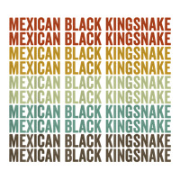 Mexican Black Kingsnake Retro T Shirt Crewneck Sweatshirt | Artistshot