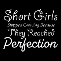 Short Girls Stopped Growing Because They Reached Perfection V-neck Tee | Artistshot