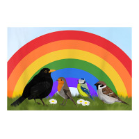 Blackbird Robin Rainbow Bird Birdlover Birdwatcher Biologist T Shirt V-neck Tee | Artistshot