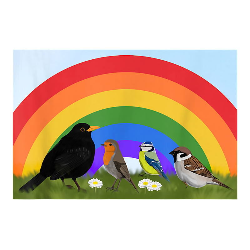 Blackbird Robin Rainbow Bird Birdlover Birdwatcher Biologist T Shirt V-Neck Tee by cm-arts | Artistshot