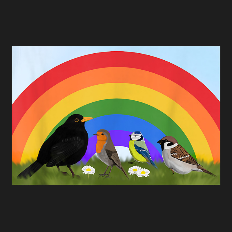 Blackbird Robin Rainbow Bird Birdlover Birdwatcher Biologist T Shirt Classic T-shirt by cm-arts | Artistshot