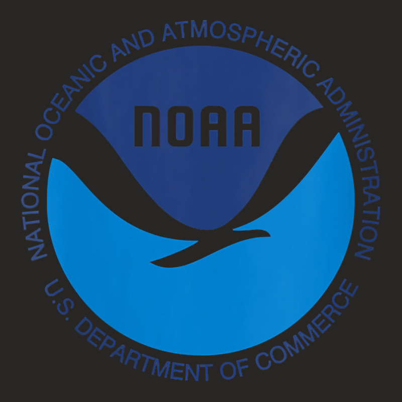 Womens Noaa National Oceanic And Atmospheric Administration V Neck T S Ladies Fitted T-Shirt by cm-arts | Artistshot