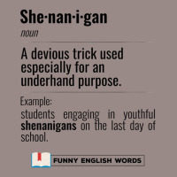 English Funny Words - Shenanigan - Fun Black Text Vintage T-shirt | Artistshot