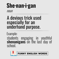 English Funny Words - Shenanigan - Fun Black Text Hoodie & Jogger Set | Artistshot