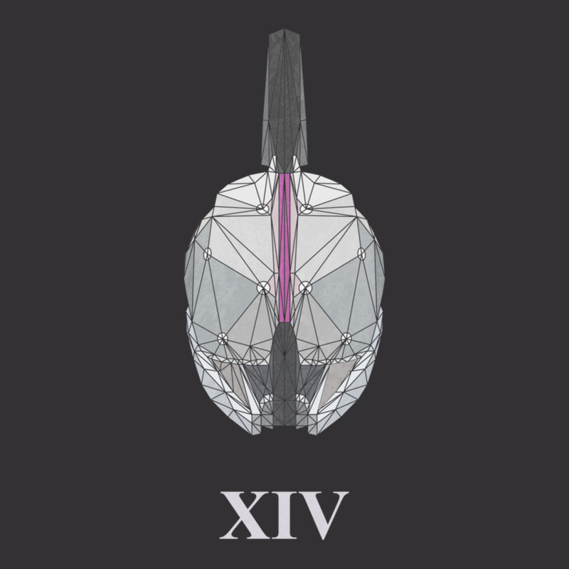 Geometric Helm Of Xiv Vintage Hoodie by MONIQUEWORTH | Artistshot