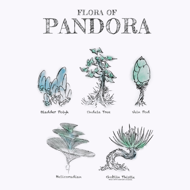 Avatar Floral Of Pandora Textbook Sketches Raglan Baseball Tee Tank Top | Artistshot