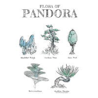 Avatar Floral Of Pandora Textbook Sketches Raglan Baseball Tee V-neck Tee | Artistshot