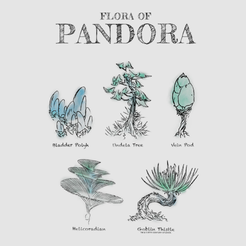 Avatar Floral Of Pandora Textbook Sketches Raglan Baseball Tee Exclusive T-shirt | Artistshot