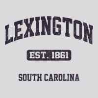 Lexington South Carolina Sc Vintage State Athletic Style Sweatshirt Women's Triblend Scoop T-shirt | Artistshot