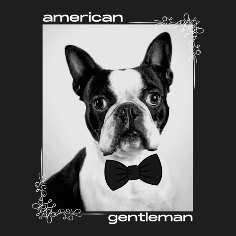 Boston Terrier Bowtie Classic T-shirt by AudreyRussian | Artistshot