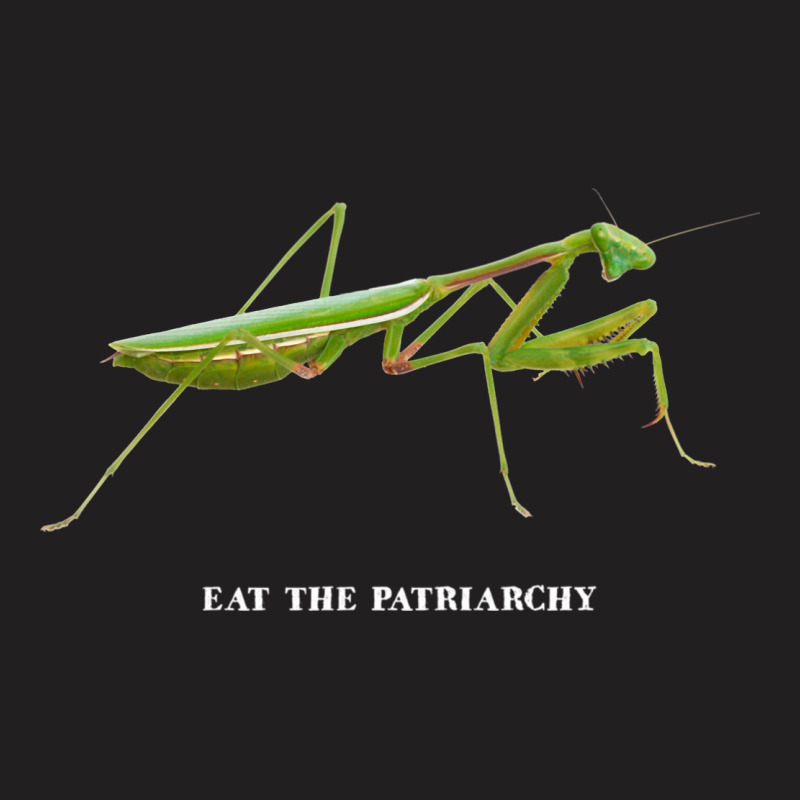 Praying Mantis - Eat The Patriarchy (she's Got Legs) Light Classic T-shirt | Artistshot