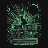 Cats On Synthesizers In Space Graphic Youth T-shirt | Artistshot