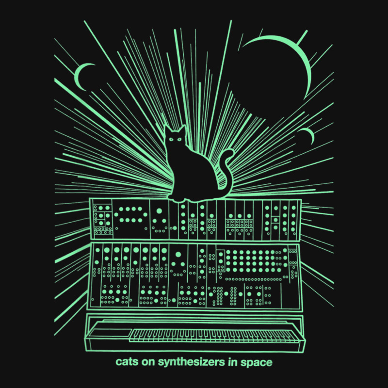 Cats On Synthesizers In Space Graphic Youth T-shirt | Artistshot