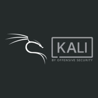 Kali Offensive Security Linux Women's Triblend Scoop T-shirt | Artistshot