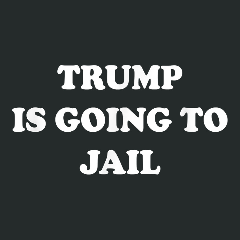 Trump Is Going To Jail Prison Espionage Warrant Traitor 2024 T Shirt Women's Triblend Scoop T-shirt by cm-arts | Artistshot