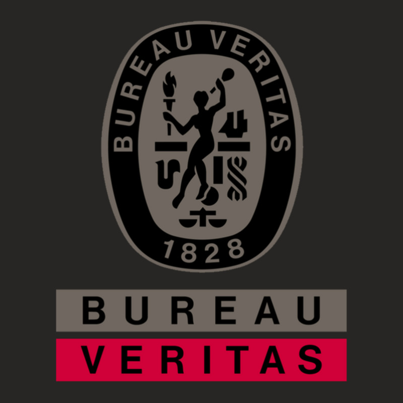 Classy Bureau Veritas Design Ladies Fitted T-Shirt by DustinNewman | Artistshot