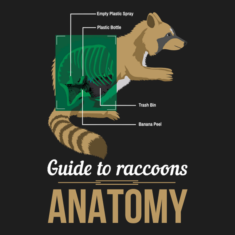 Anatomy Raccoon Classic T-shirt by Kenlofu52 | Artistshot