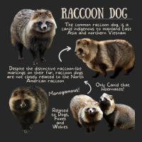 Animal Facts - Raccoon Dog Women's Pajamas Set | Artistshot