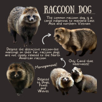 Animal Facts - Raccoon Dog Racerback Tank | Artistshot