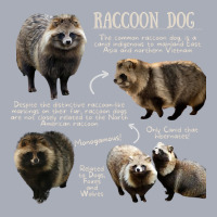 Animal Facts - Raccoon Dog Tank Dress | Artistshot